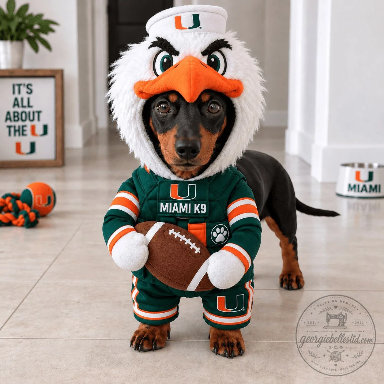 University of Miami Mascot Pet Costume with Football for Dogs and Cats